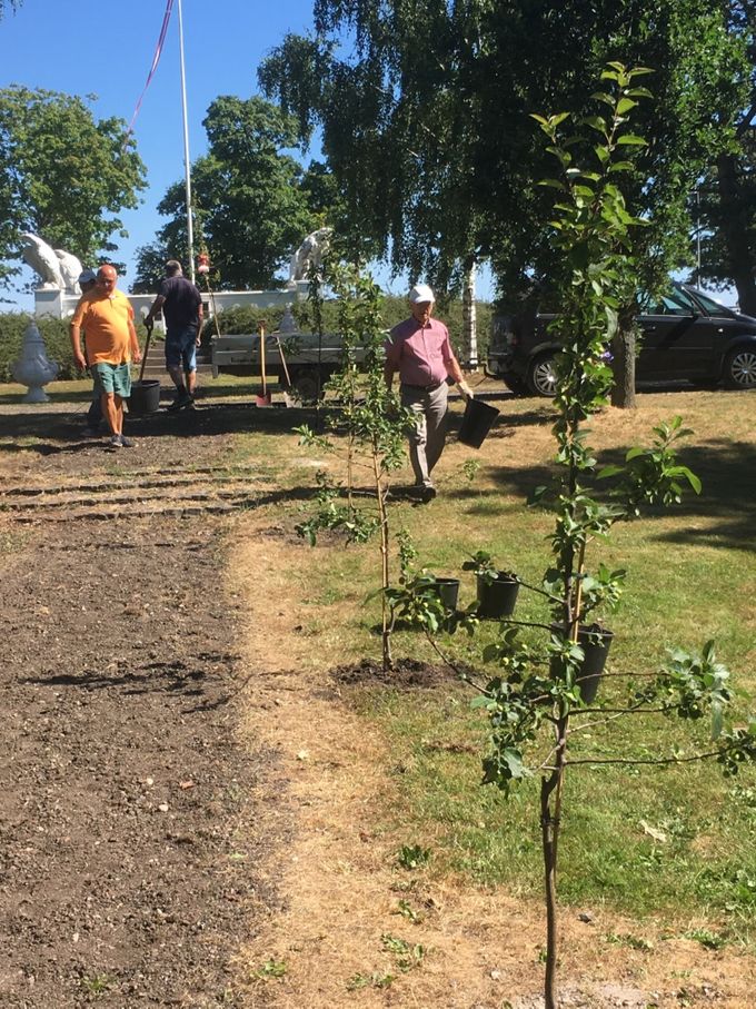 Juni 2018  
REMA 1000 købmanden har sponseret 17 prydæbletræer (Malus Red Sentinel, velegnet til dekoration/ikke til forbrug) til Solgårdsparken. 
Medlemmer af Onsdagsholdet er her i færd med at plante et antal træer mellem Ørneterrassen og Solgårdsbroen.