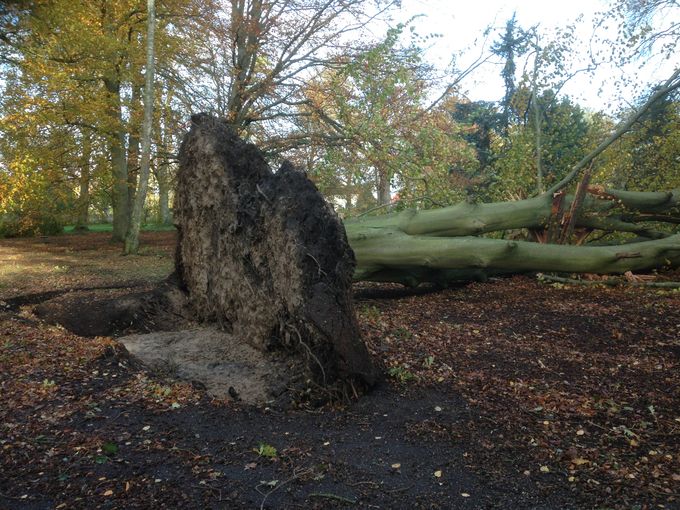 Resultatet af en oktober storm i 2013, foto nr 1 af 2