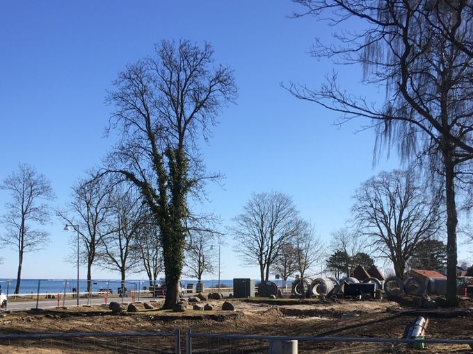 Regnvandssøen, set fra Ørneterrassen (marts 2021)