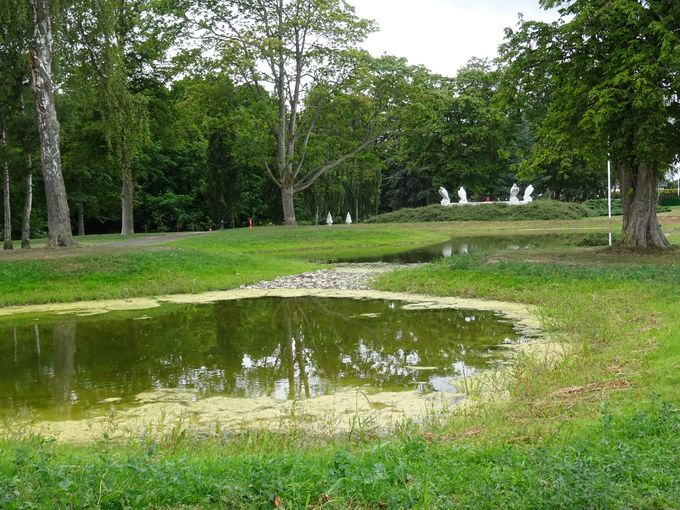 Regnvandssøen er nu etableret, sommeren 2021