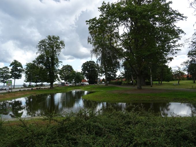 Regnvandssøen, set fra modsat side, sommeren 2021
